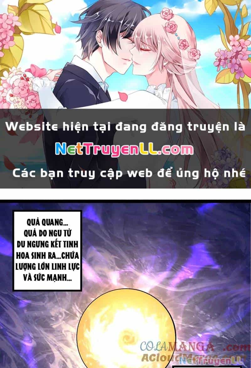Chuyển Sinh Thành Liễu Đột Biến - Chương 261 - ảnh 1
