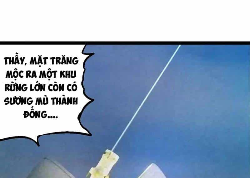 Chuyển Sinh Thành Liễu Đột Biến - Chương 261 - ảnh 28
