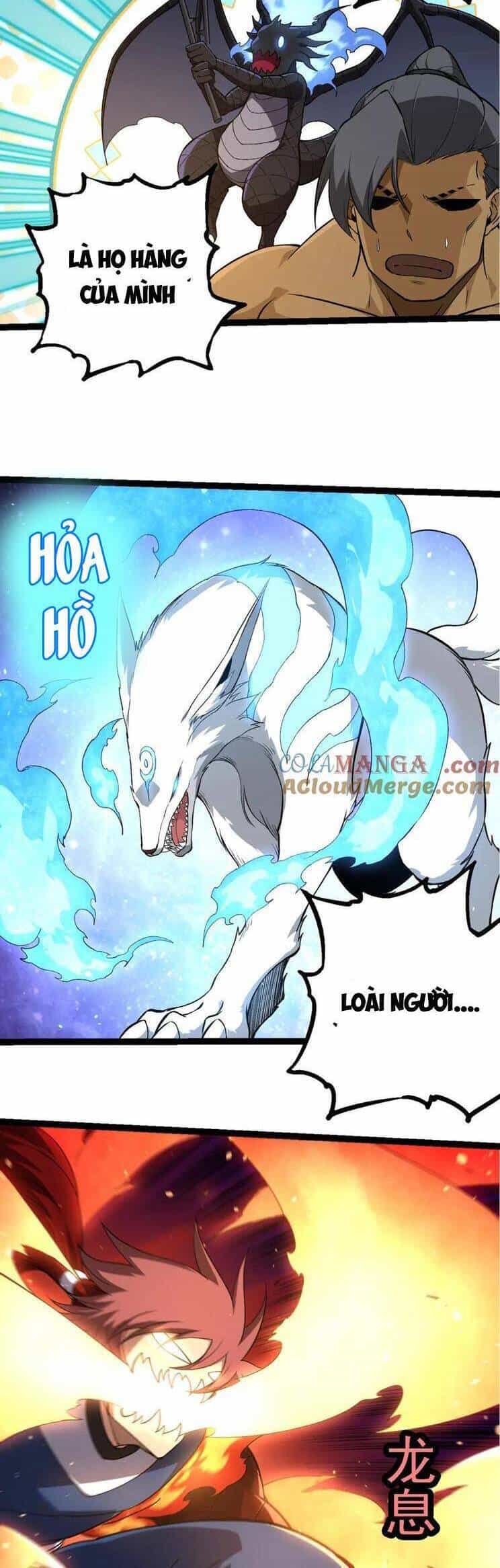 Chuyển Sinh Thành Liễu Đột Biến - Chương 268 - ảnh 12