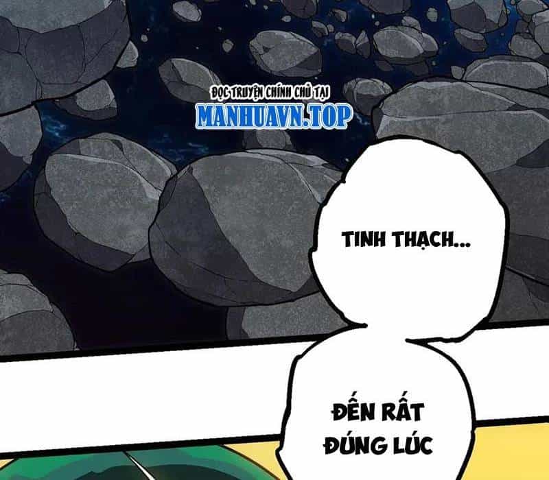 Chuyển Sinh Thành Liễu Đột Biến - Chương 270 - ảnh 69