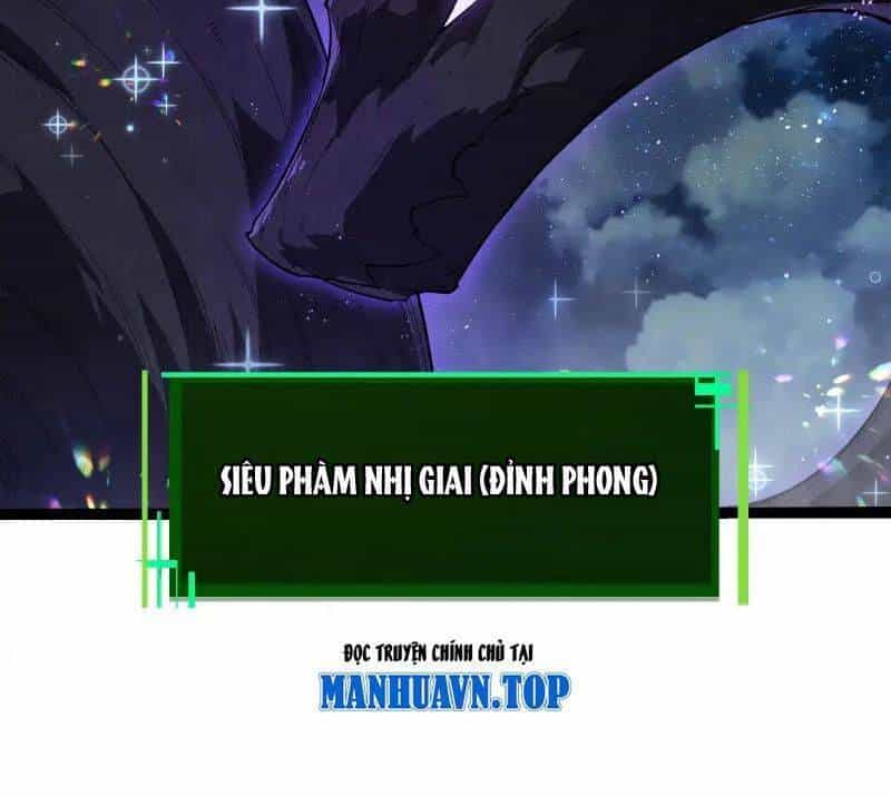 Chuyển Sinh Thành Liễu Đột Biến - Chương 285 - ảnh 31