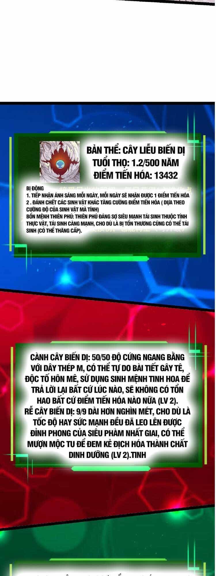 Chuyển Sinh Thành Liễu Đột Biến - Chương 28 - ảnh 10
