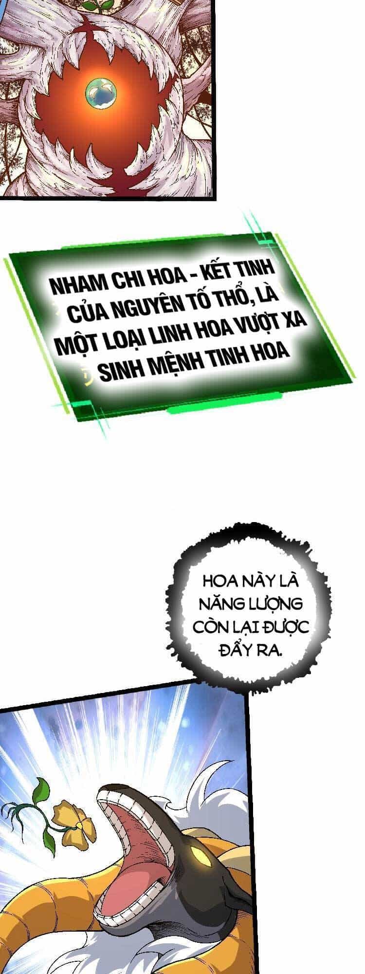 Chuyển Sinh Thành Liễu Đột Biến - Chương 28 - ảnh 29