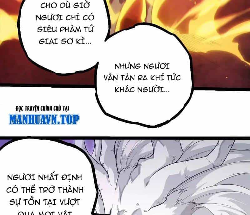 Chuyển Sinh Thành Liễu Đột Biến - Chương 293 - ảnh 81