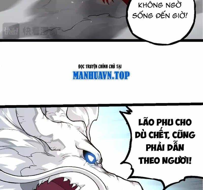 Chuyển Sinh Thành Liễu Đột Biến - Chương 295 - ảnh 10
