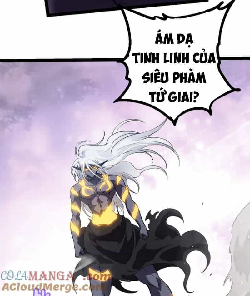 Chuyển Sinh Thành Liễu Đột Biến - Chương 296 - ảnh 46