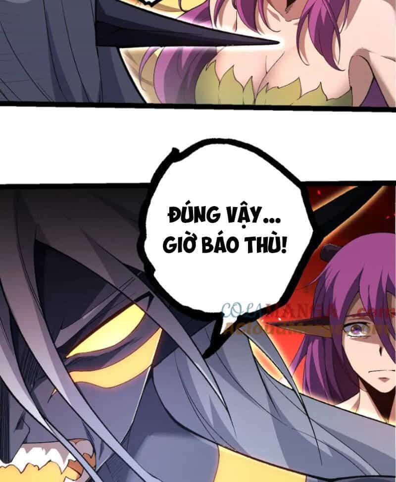 Chuyển Sinh Thành Liễu Đột Biến - Chương 299 - ảnh 25