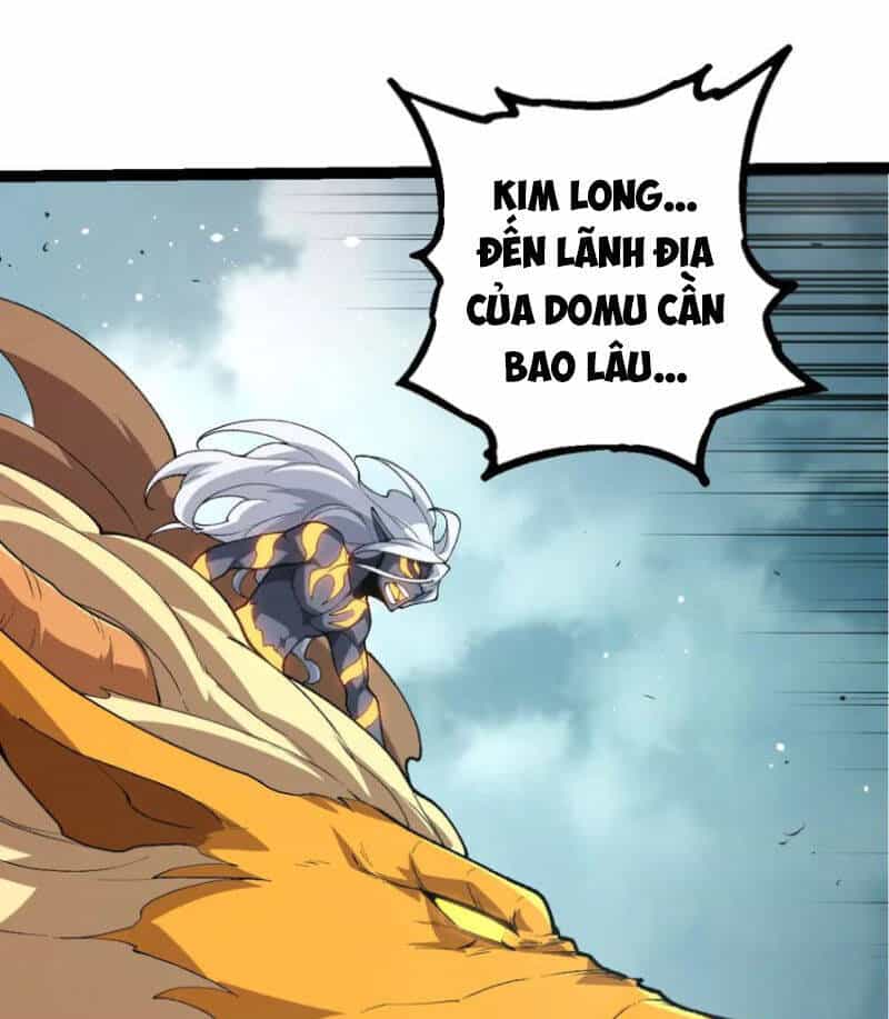Chuyển Sinh Thành Liễu Đột Biến - Chương 299 - ảnh 63