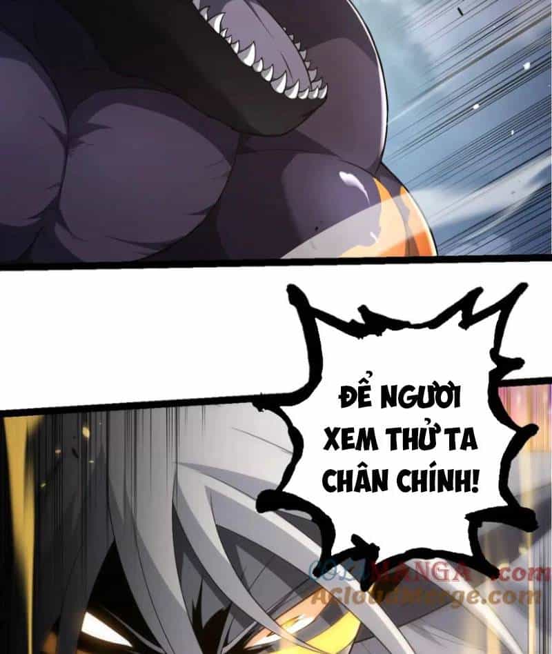 Chuyển Sinh Thành Liễu Đột Biến - Chương 304 - ảnh 33