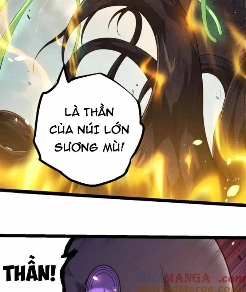 Chuyển Sinh Thành Liễu Đột Biến - Chương 304 - ảnh 46
