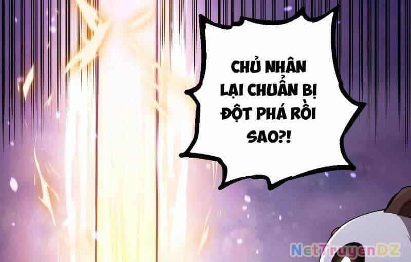 Chuyển Sinh Thành Liễu Đột Biến - Chương 312 - ảnh 102