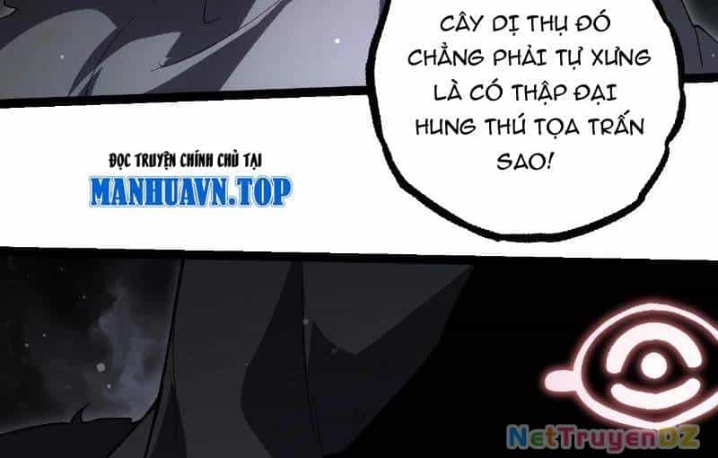 Chuyển Sinh Thành Liễu Đột Biến - Chương 312 - ảnh 117
