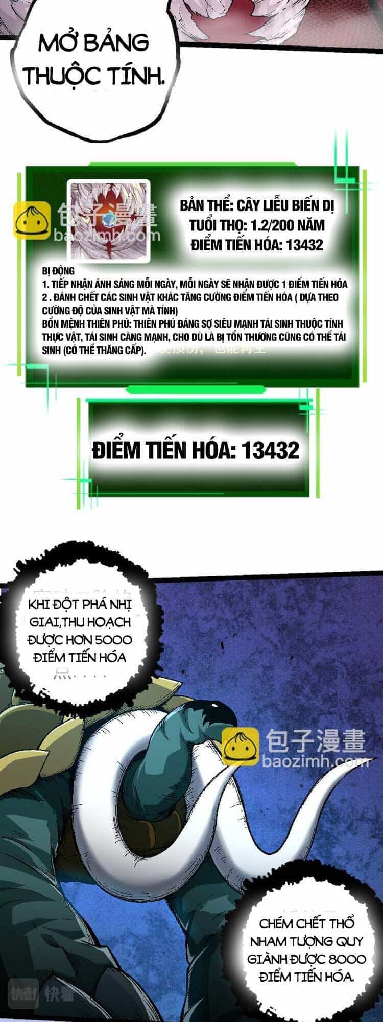 Chuyển Sinh Thành Liễu Đột Biến - Chương 31 - ảnh 5