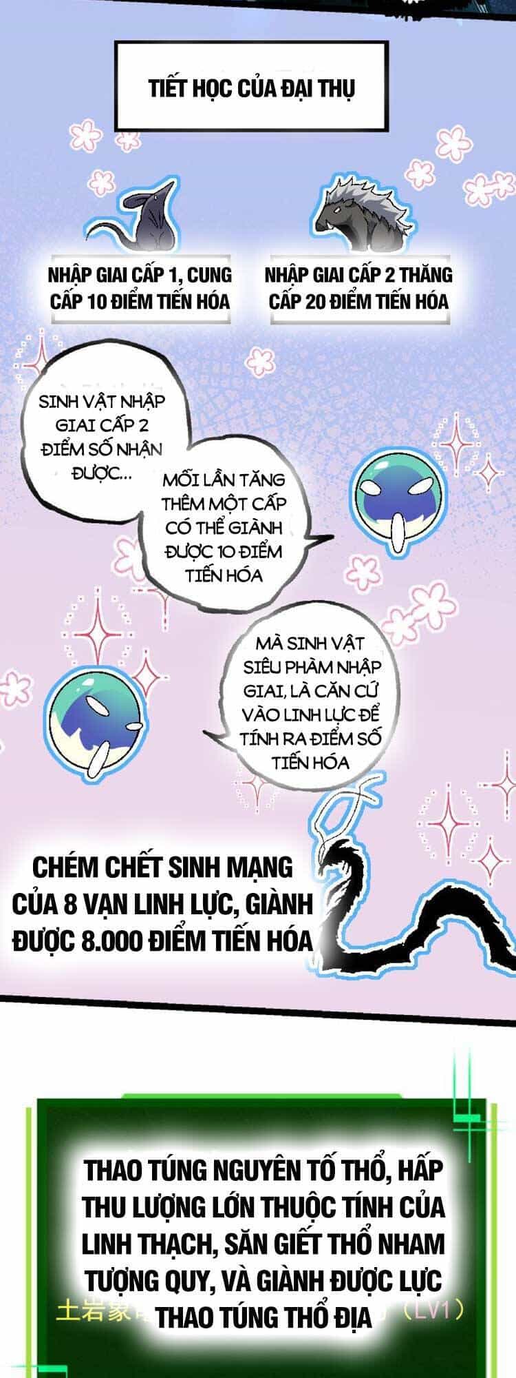 Chuyển Sinh Thành Liễu Đột Biến - Chương 31 - ảnh 6