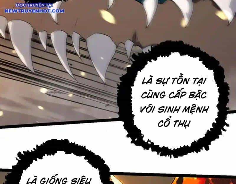 Chuyển Sinh Thành Liễu Đột Biến - Chương 319 - ảnh 57