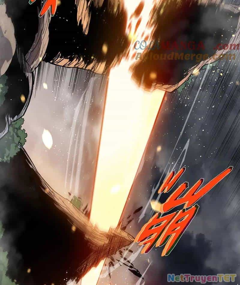 Chuyển Sinh Thành Liễu Đột Biến - Chương 325 - ảnh 19