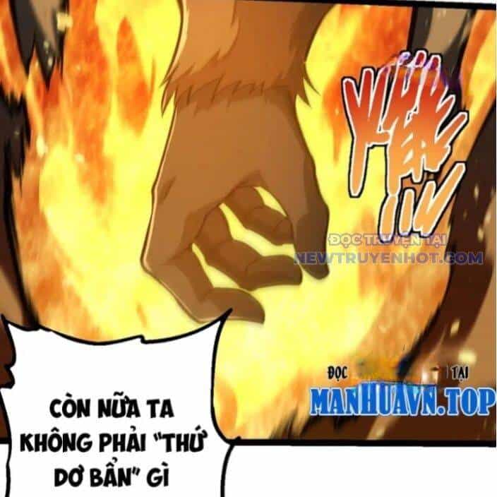 Chuyển Sinh Thành Liễu Đột Biến - Chương 330 - ảnh 43