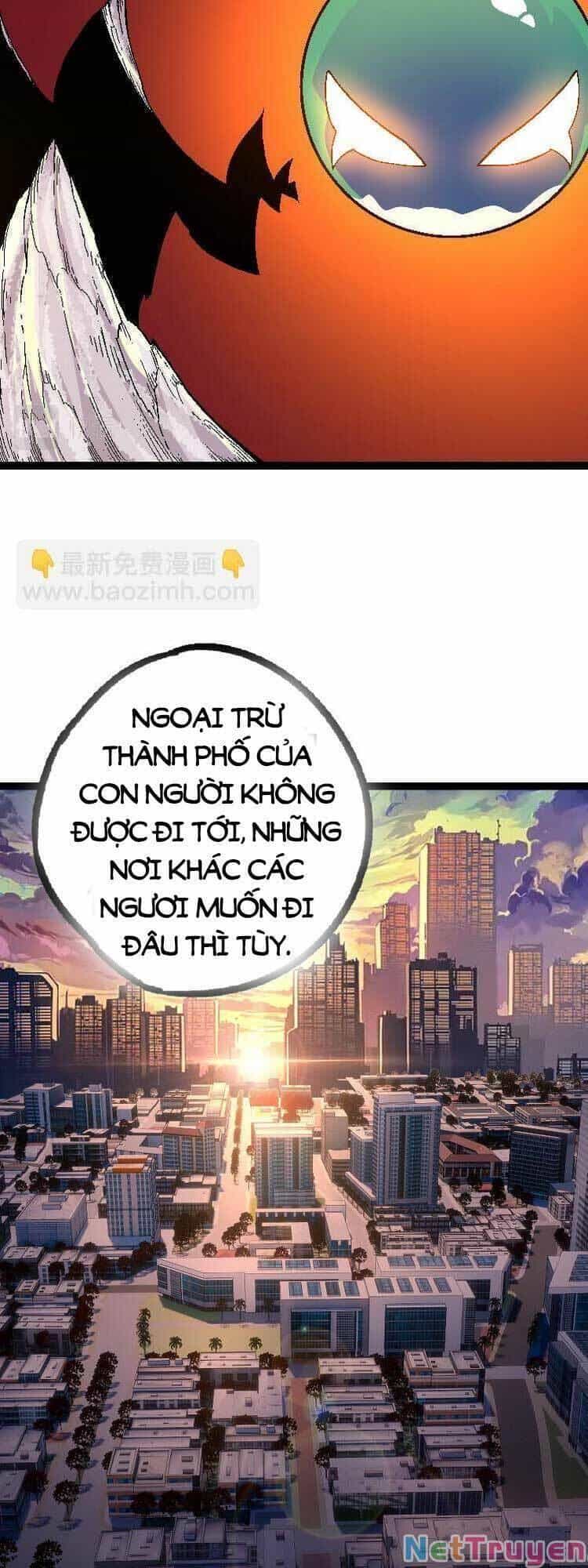 Chuyển Sinh Thành Liễu Đột Biến - Chương 34 - ảnh 33