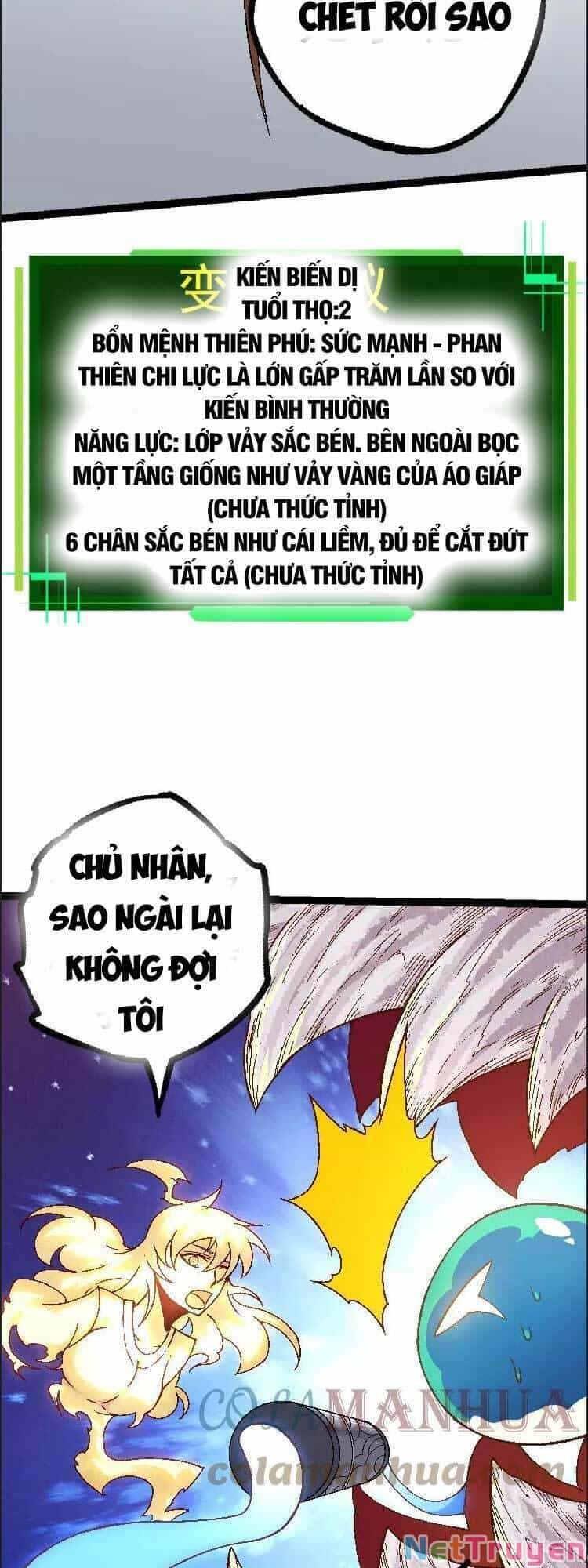 Chuyển Sinh Thành Liễu Đột Biến - Chương 36 - ảnh 21