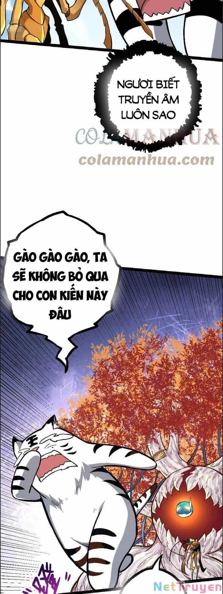 Chuyển Sinh Thành Liễu Đột Biến - Chương 36 - ảnh 42