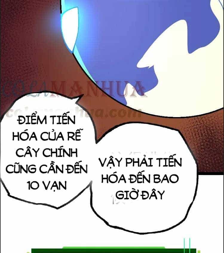 Chuyển Sinh Thành Liễu Đột Biến - Chương 39 - ảnh 41