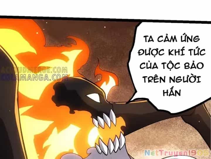 Chuyển Sinh Thành Liễu Đột Biến - Chương 404 - ảnh 20