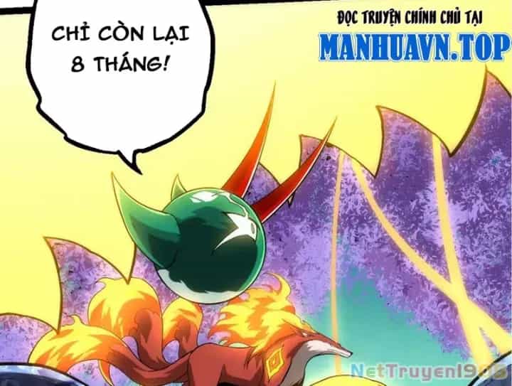 Chuyển Sinh Thành Liễu Đột Biến - Chương 404 - ảnh 39
