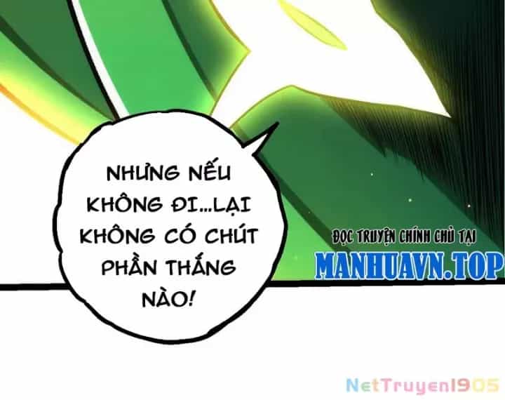 Chuyển Sinh Thành Liễu Đột Biến - Chương 404 - ảnh 43