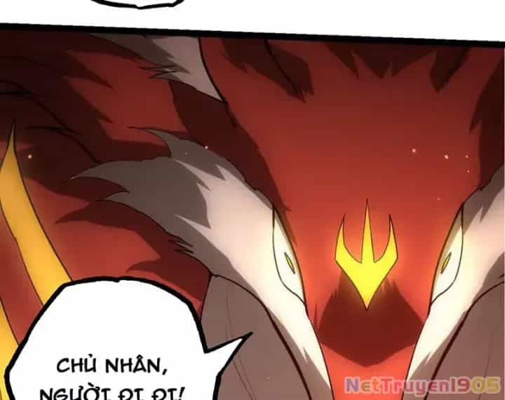 Chuyển Sinh Thành Liễu Đột Biến - Chương 404 - ảnh 47