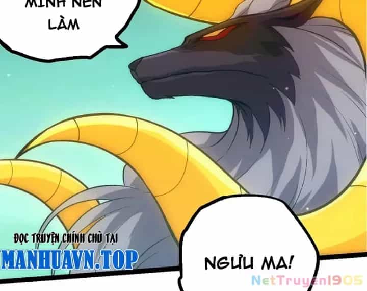Chuyển Sinh Thành Liễu Đột Biến - Chương 404 - ảnh 51