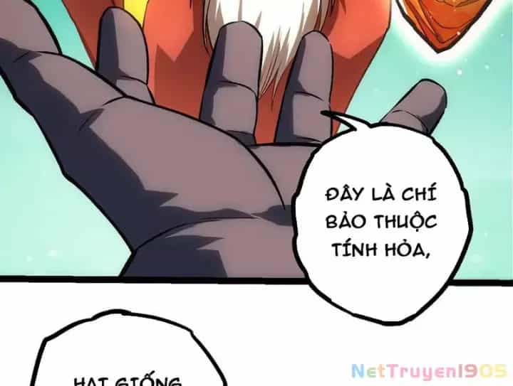 Chuyển Sinh Thành Liễu Đột Biến - Chương 404 - ảnh 9