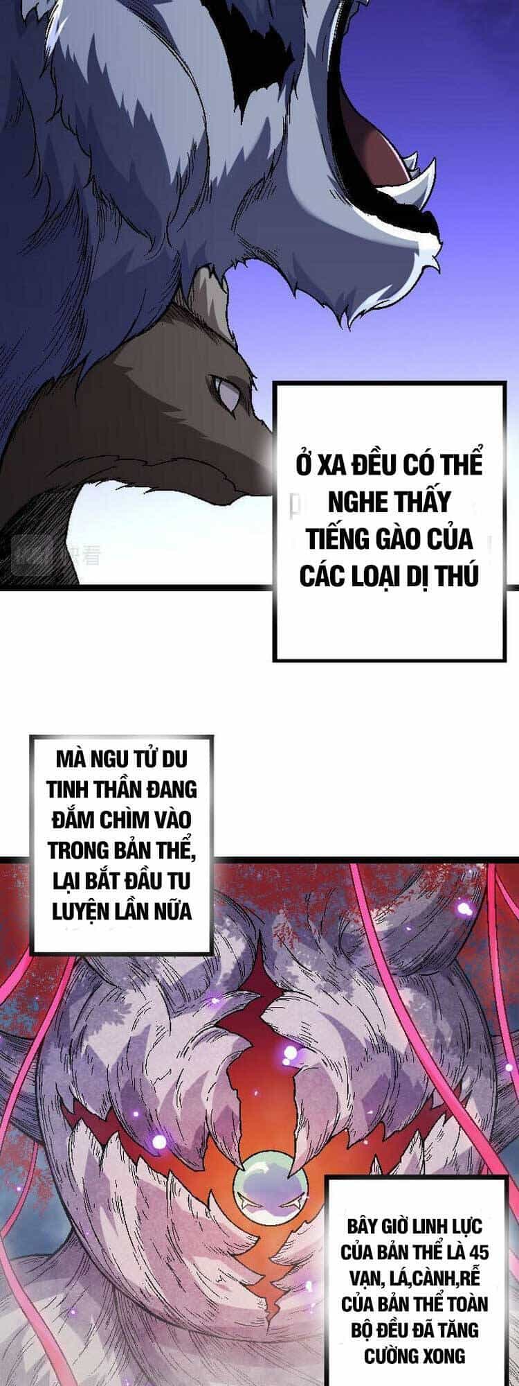 Chuyển Sinh Thành Liễu Đột Biến - Chương 45 - ảnh 16