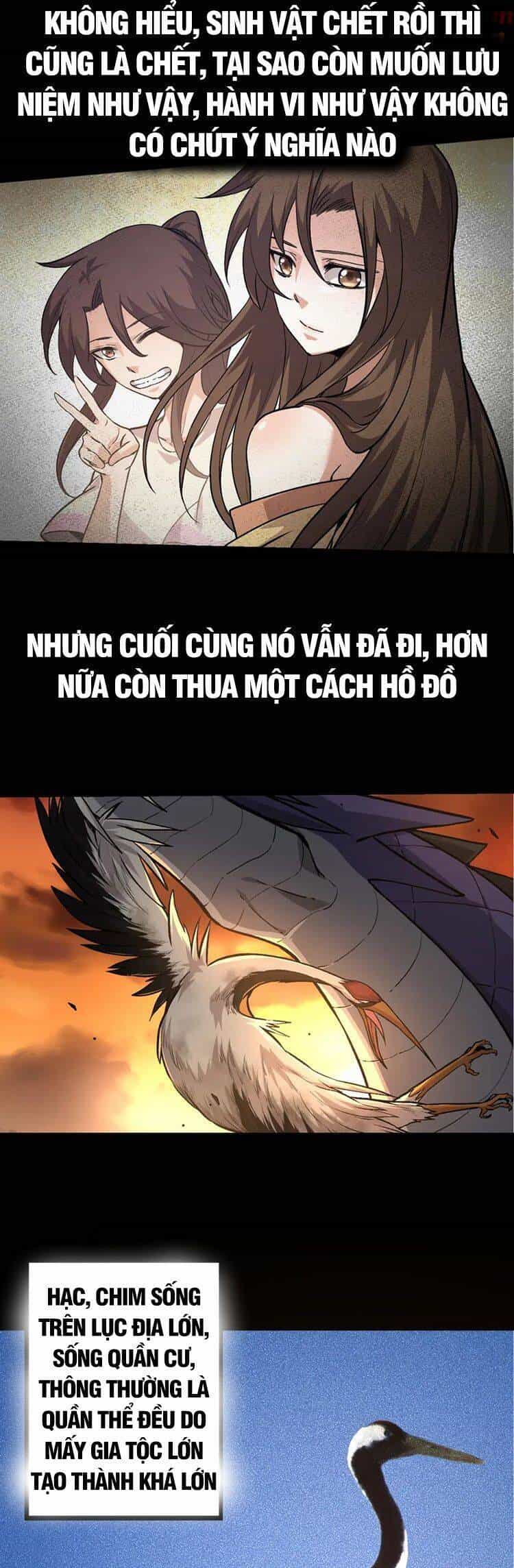 Chuyển Sinh Thành Liễu Đột Biến - Chương 54 - ảnh 26