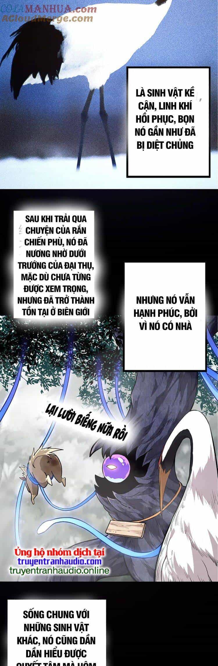 Chuyển Sinh Thành Liễu Đột Biến - Chương 54 - ảnh 27