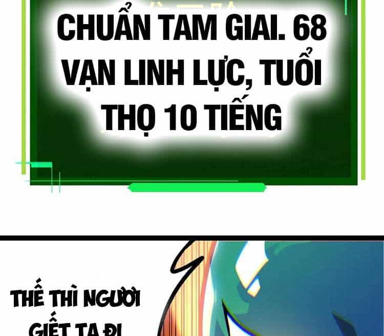 Chuyển Sinh Thành Liễu Đột Biến - Chương 63 - ảnh 17