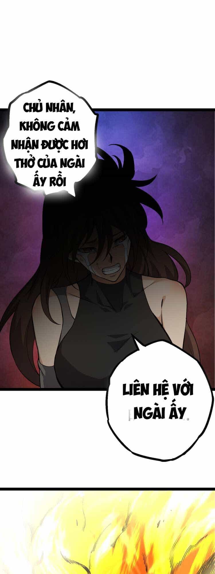 Chuyển Sinh Thành Liễu Đột Biến - Chương 65 - ảnh 13