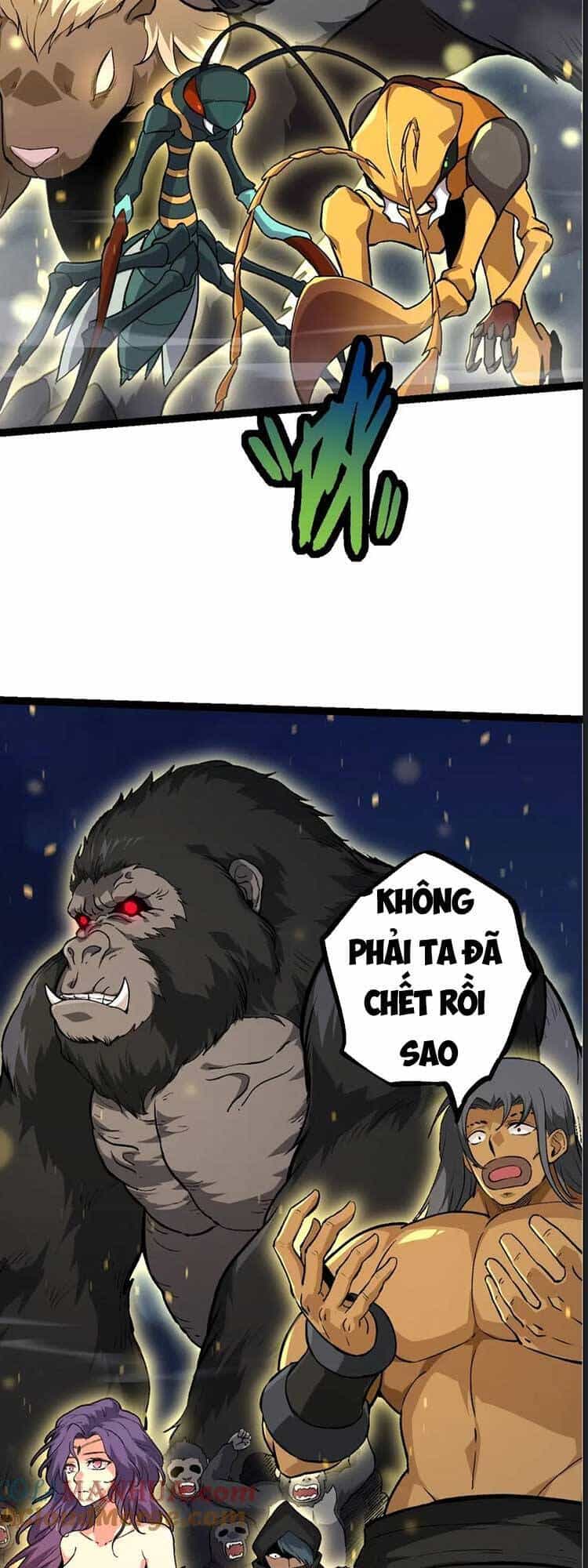 Chuyển Sinh Thành Liễu Đột Biến - Chương 69 - ảnh 21