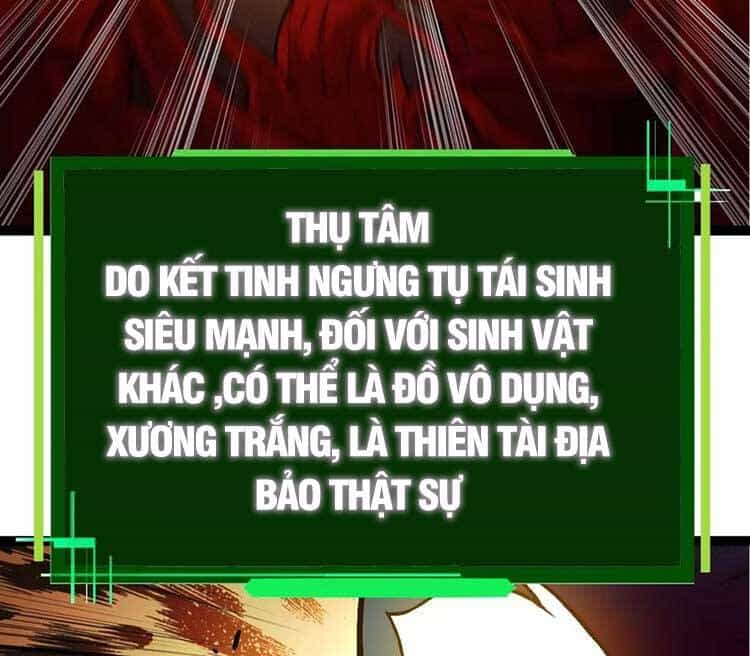 Chuyển Sinh Thành Liễu Đột Biến - Chương 70 - ảnh 17