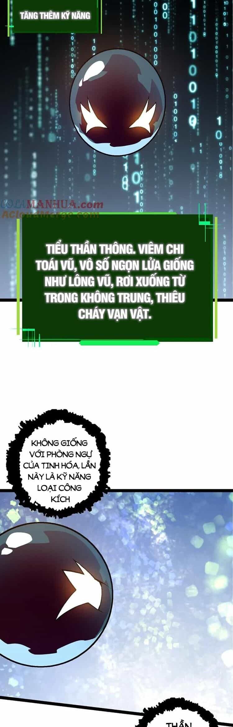 Chuyển Sinh Thành Liễu Đột Biến - Chương 87 - ảnh 23