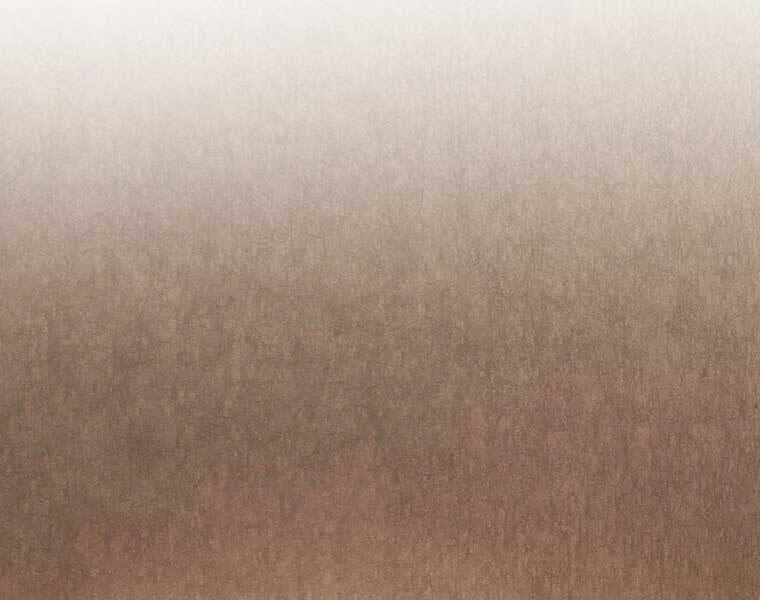 Chuyển Sinh Thành Tiêu Sư - Chương 3 - ảnh 137