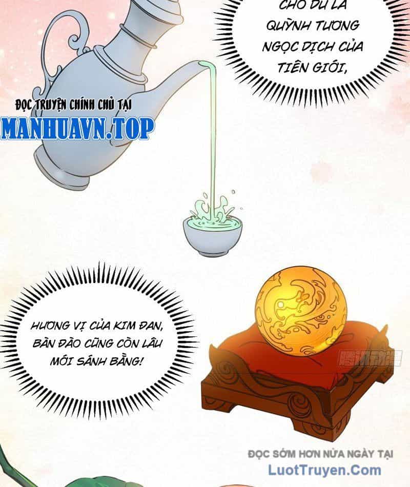 Chuyển Sinh Thành Tra Nam, Ta Giúp Thê Tử Trường Sinh - Chương 43 - ảnh 15
