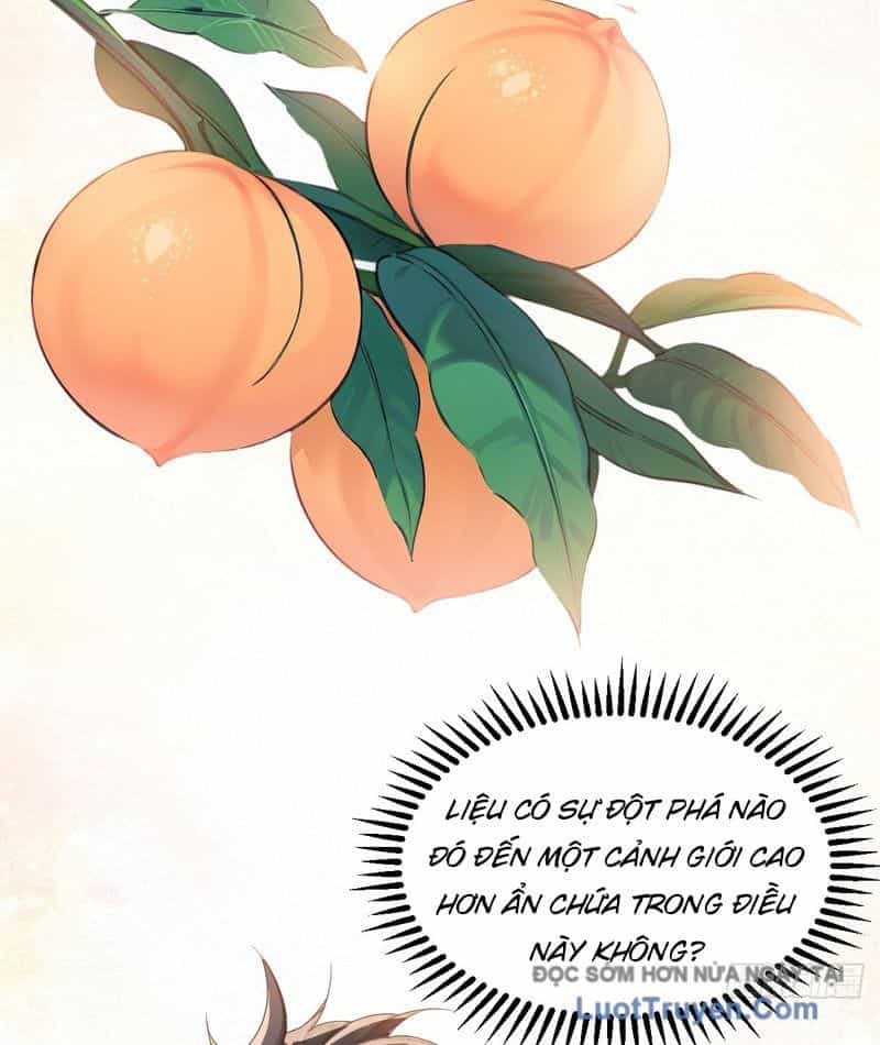 Chuyển Sinh Thành Tra Nam, Ta Giúp Thê Tử Trường Sinh - Chương 43 - ảnh 16