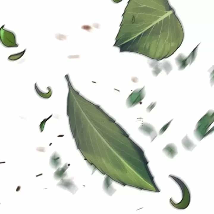 Chuyển Sinh Vào Thế Giới Võ Lâm - Chương 181 - ảnh 238