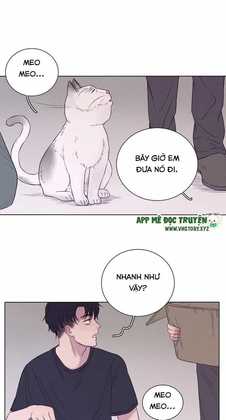 Chuyên Tình Yêu Của Ông Chú Cool Ngầu - Chương 59 - ảnh 16