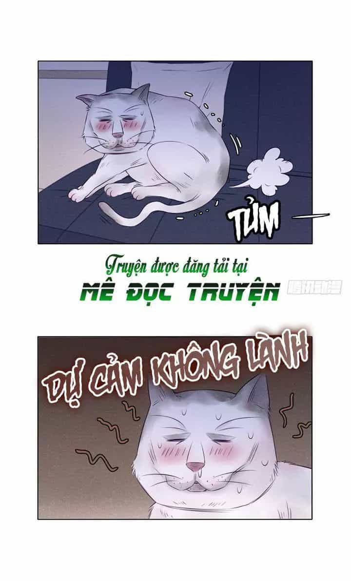 Chuyên Tình Yêu Của Ông Chú Cool Ngầu - Chương 67 - ảnh 33
