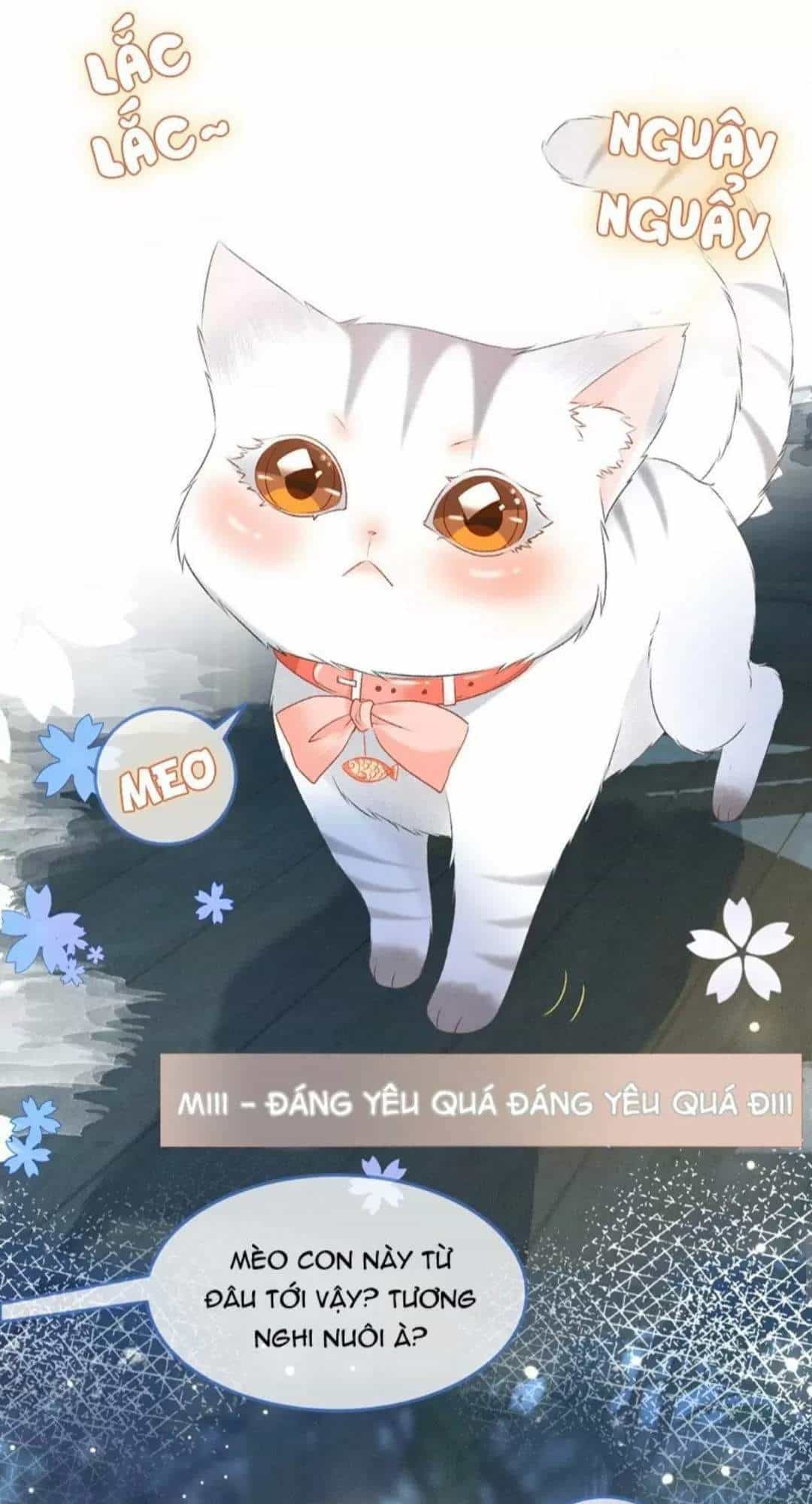 Cô Ấy Ngày Nào Cũng Lên Hot Search! - Chương 26 - ảnh 15