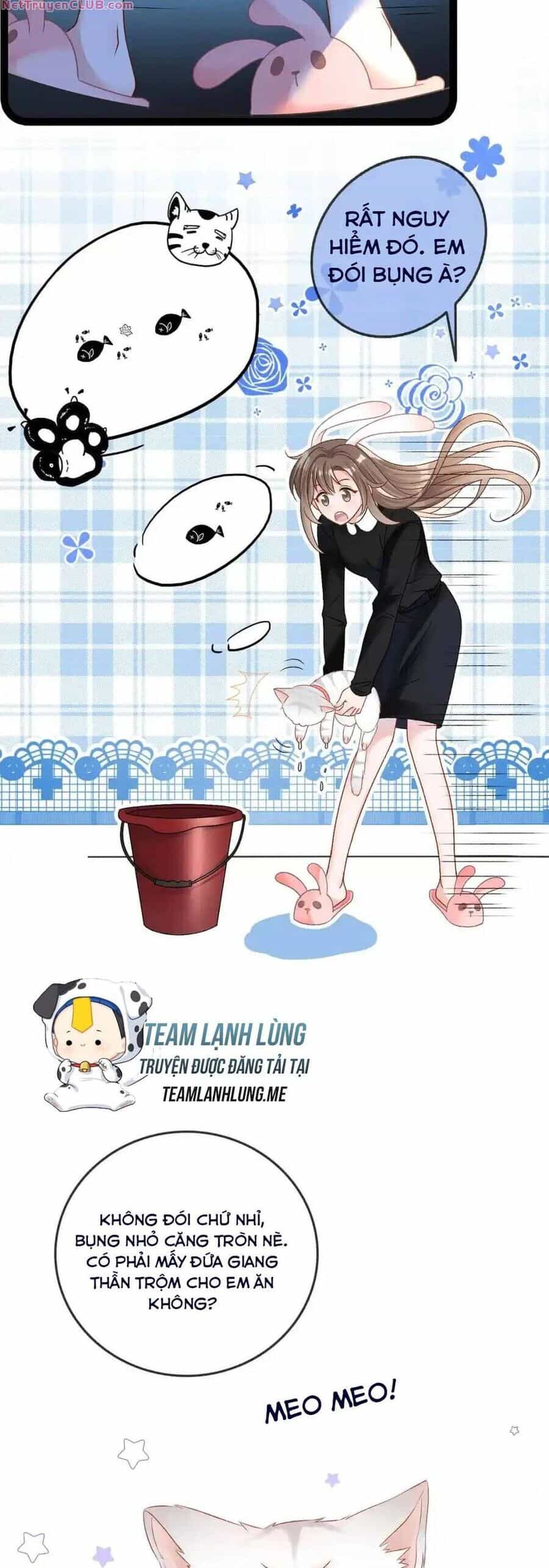 Cô Ấy Ngày Nào Cũng Lên Hot Search! - Chương 56 - ảnh 7