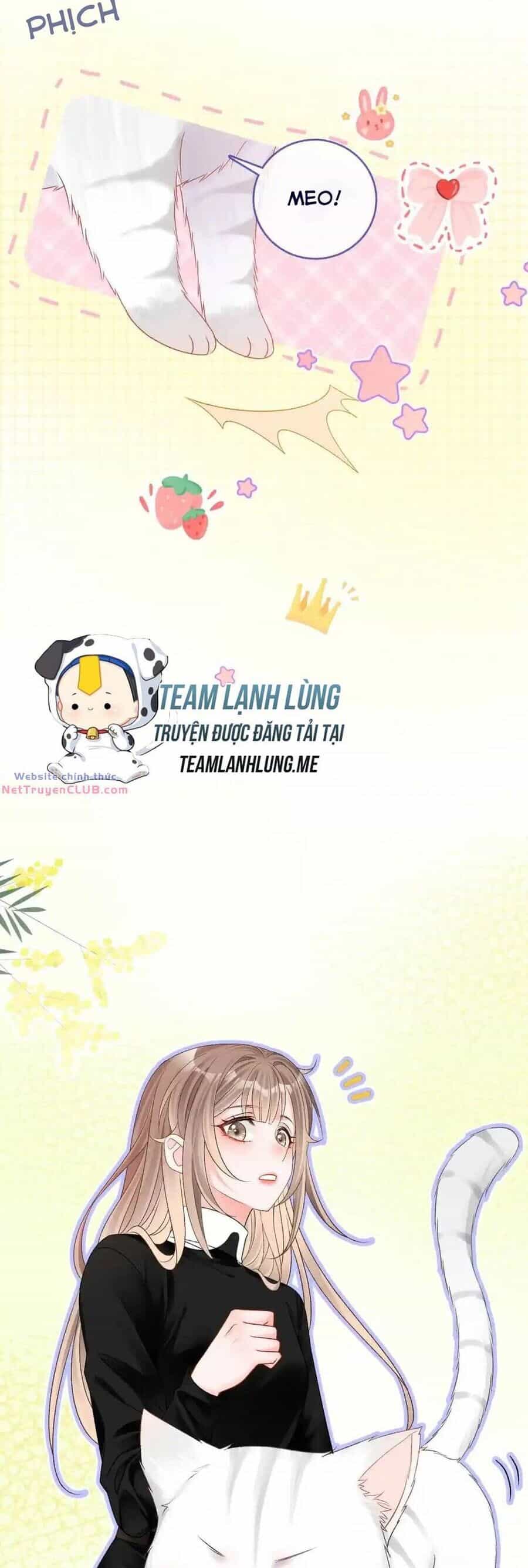 Cô Ấy Ngày Nào Cũng Lên Hot Search! - Chương 58 - ảnh 12