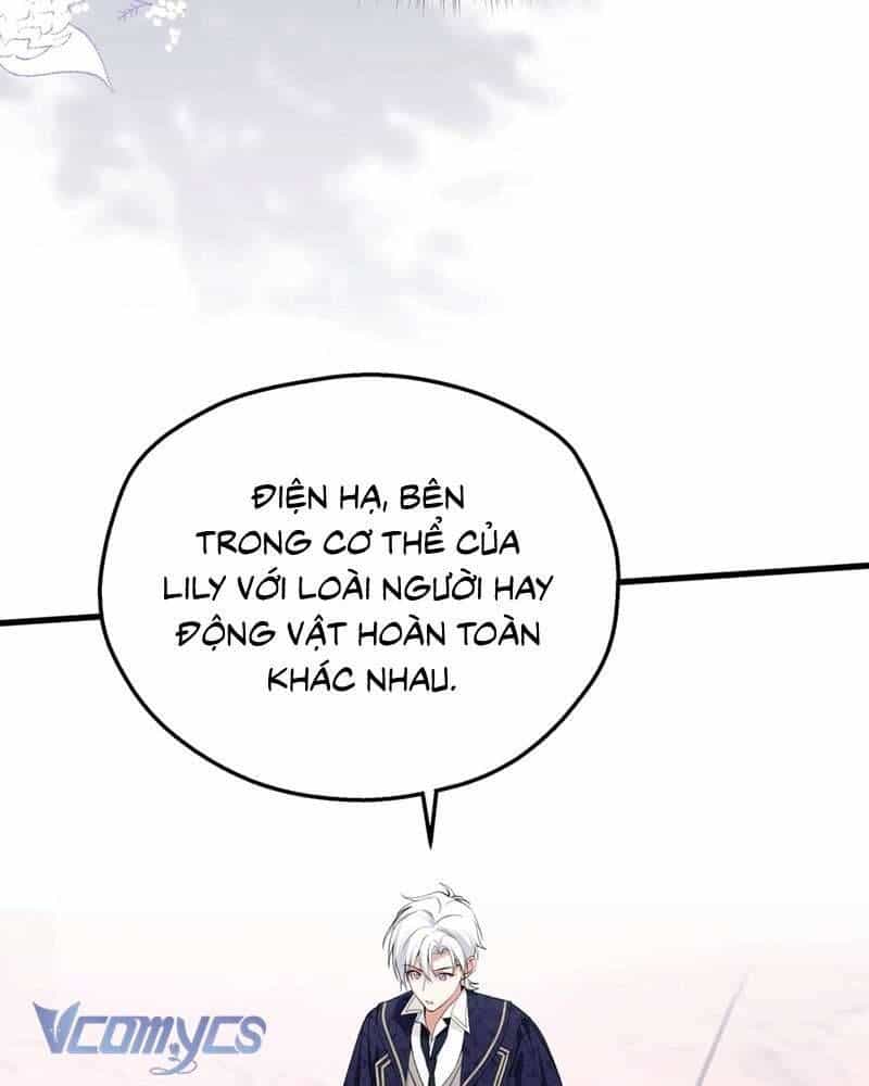 Cô Ấy Sẽ Thuần Hóa Các Anh Hùng - Chương 17 - ảnh 8