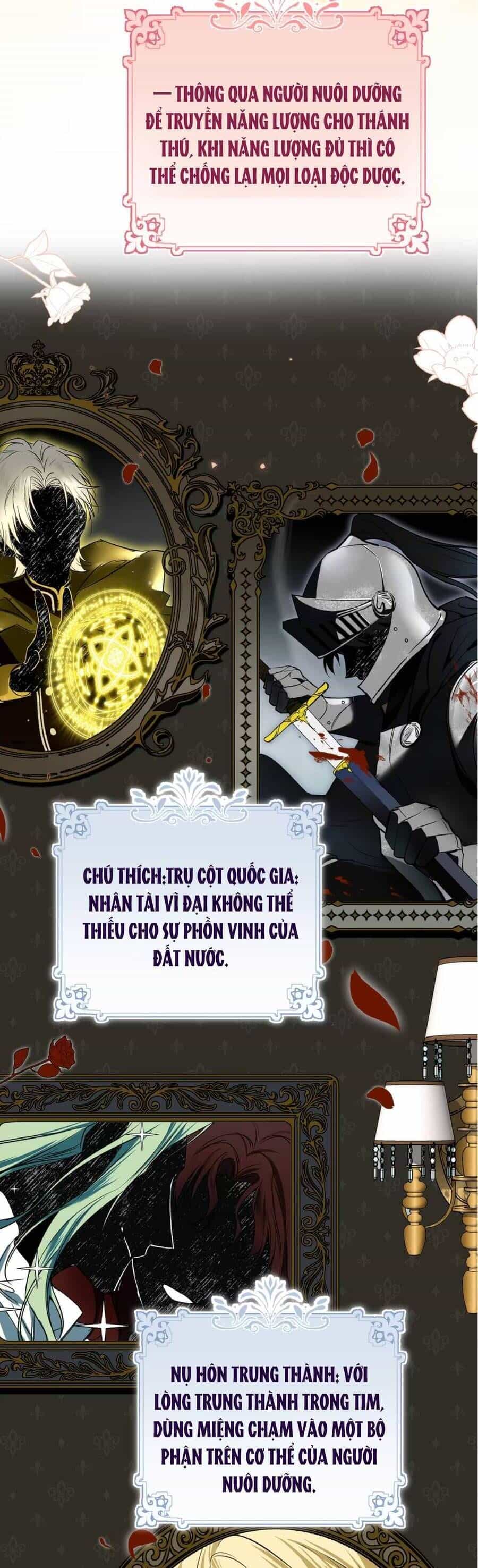 Cô Ấy Sẽ Thuần Hóa Các Anh Hùng - Chương 3 - ảnh 13